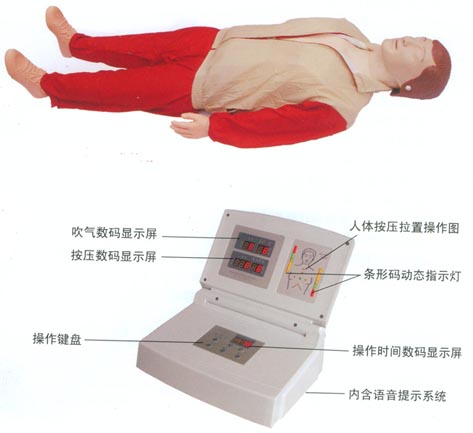 觸電急救模型|高級全自動電腦心肺復(fù)蘇模擬人